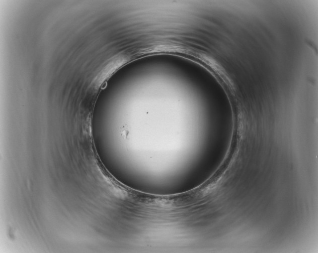 X0000100211241200805301319