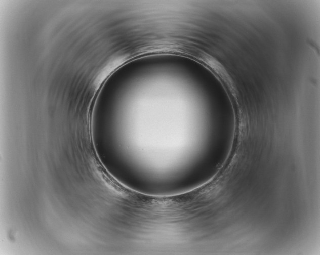 X0000100211242200805301319