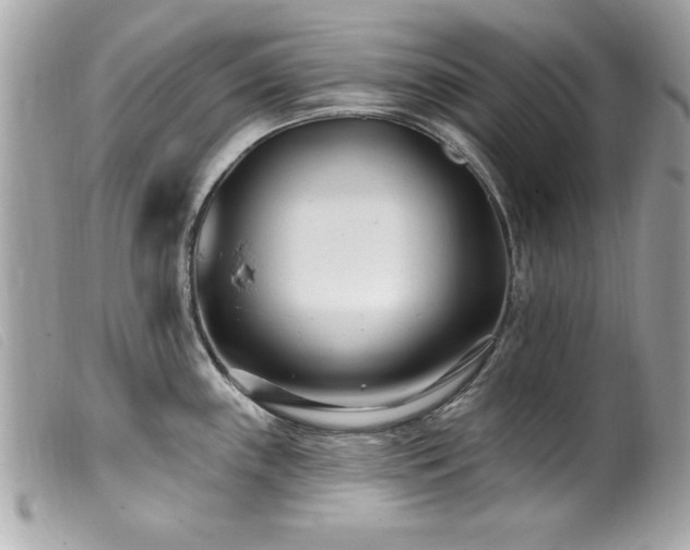 X0000100211243200805301319