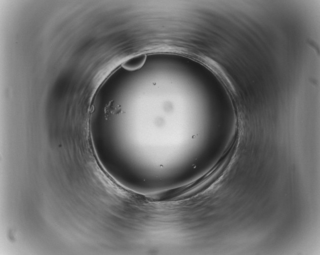 X0000100211244200805301319
