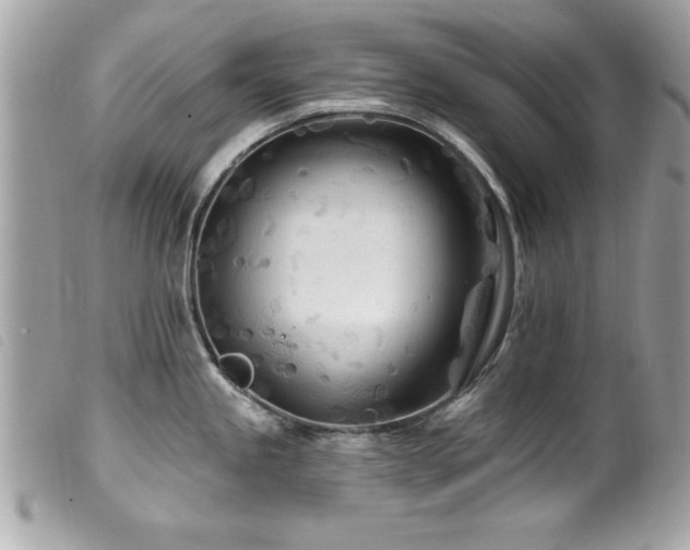X0000100211245200805301319