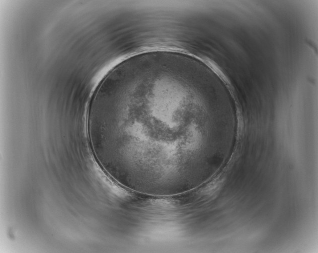 X0000100211246200805301319