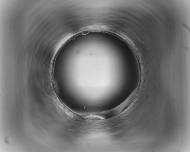 X0000100211248200805301319