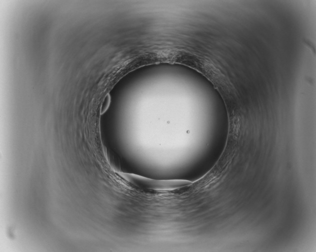 X0000100211249200805301318