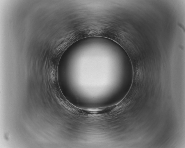 X0000100211250200805301318