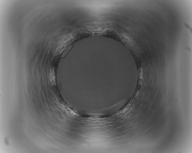 X0000100211252200805301318