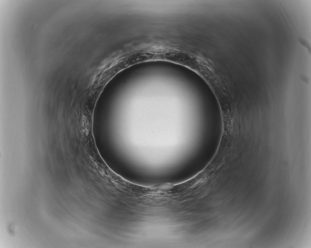 X0000100211253200805301318