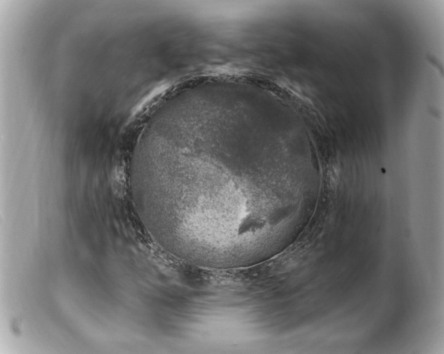 X0000100211254200805301318