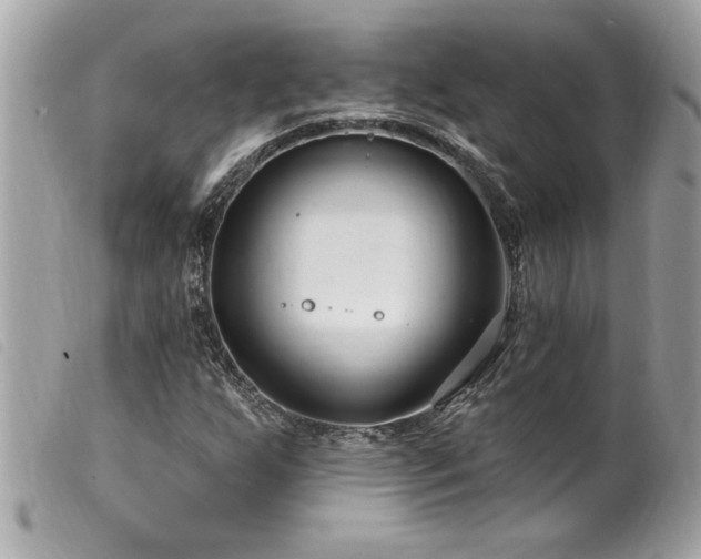 X0000100211255200805301318