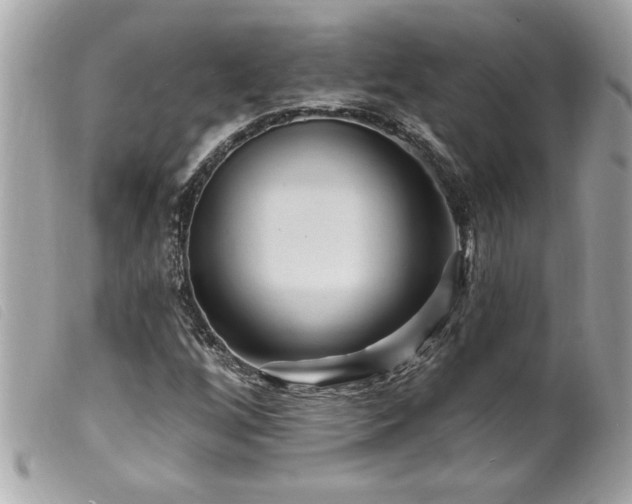 X0000100211256200805301318