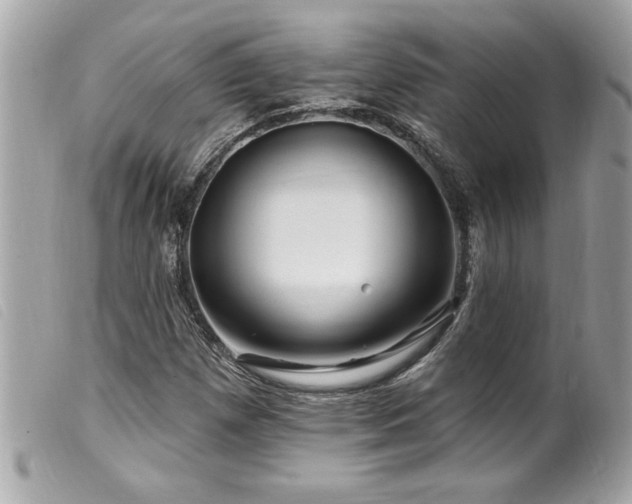 X0000100211257200805301318