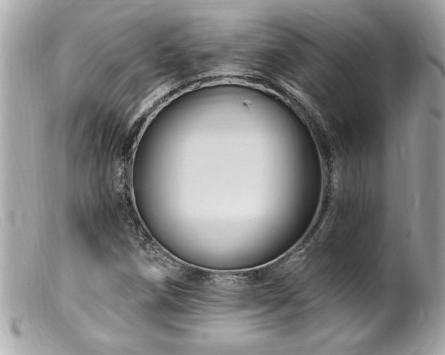X0000100211258200805301318