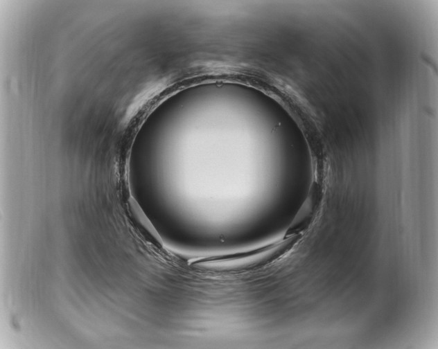 X0000100211261200805301318