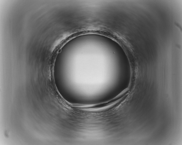 X0000100211262200805301318