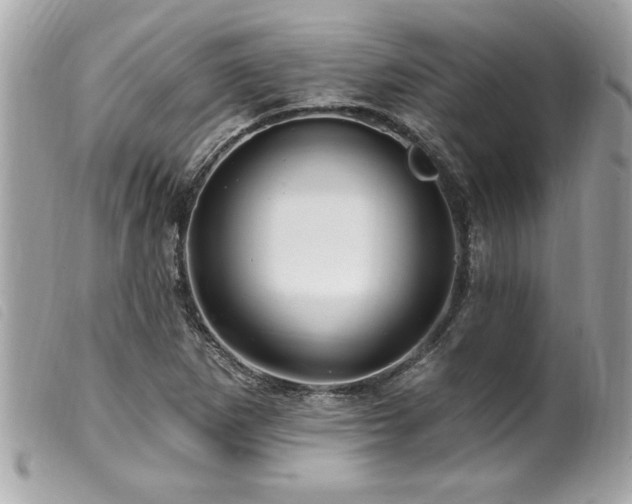 X0000100211265200805301318