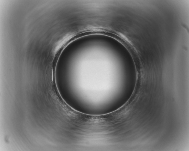 X0000100211269200805301318