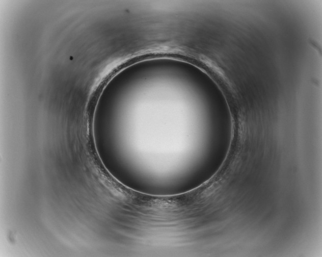 X0000100211270200805301318