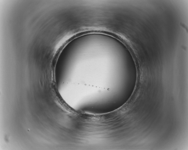 X0000100211271200805301318