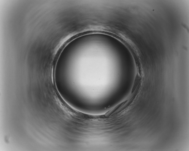 X0000100211272200805301318
