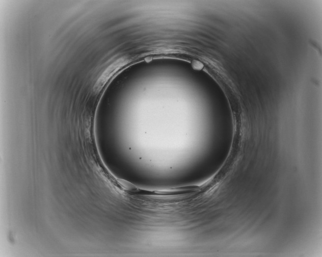 X0000100211273200805301318