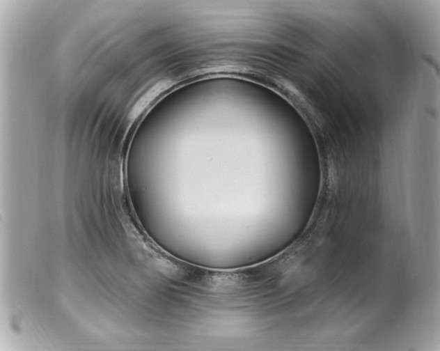 X0000100211274200805301318