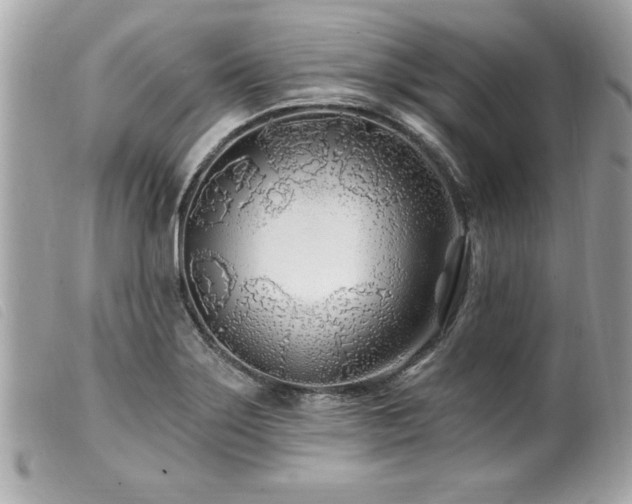 X0000100211275200805301318