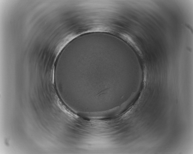 X0000100211276200805301318