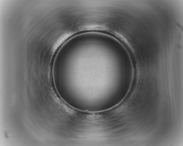 X0000100211277200805301318