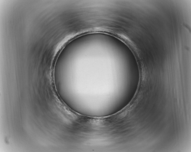 X0000100211278200805301318