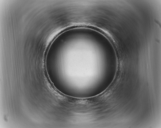X0000100211279200805301318