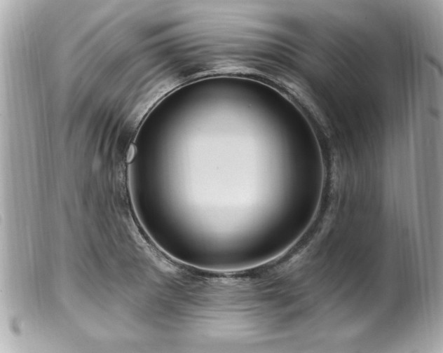 X0000100211281200805301318