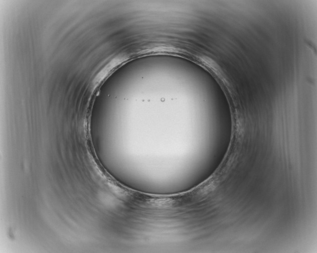 X0000100211282200805301318