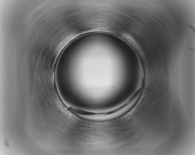 X0000100211284200805301318