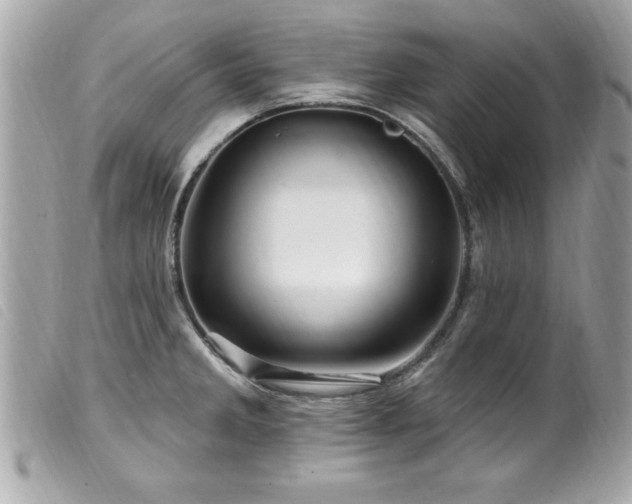 X0000100211285200805301318