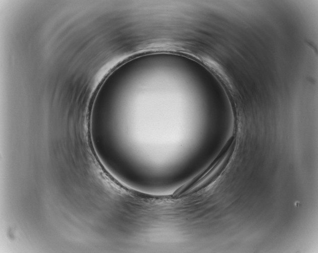 X0000100211288200805301318