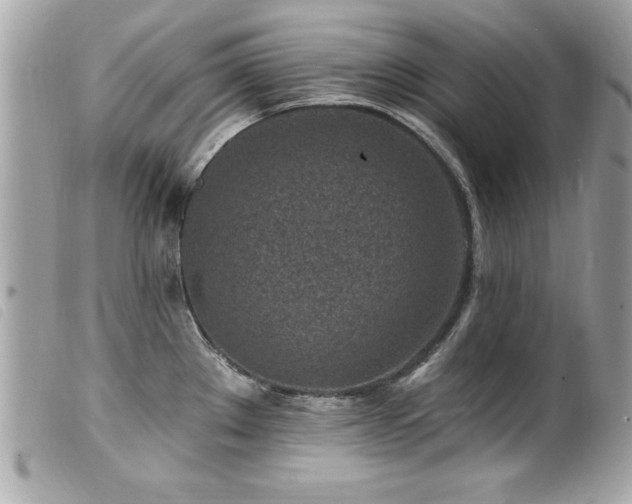X0000100211289200805301318