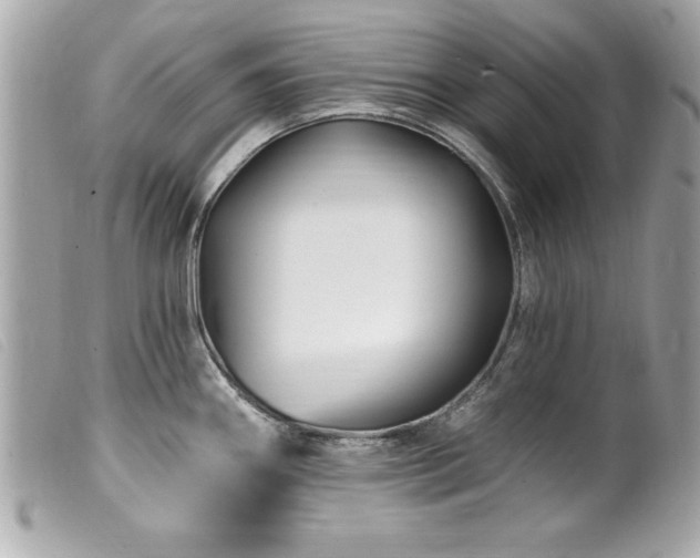 X0000100211290200805301318
