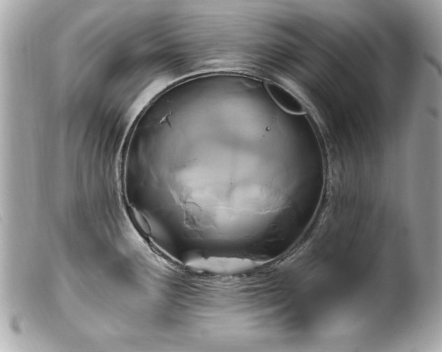 X0000100211291200805301318