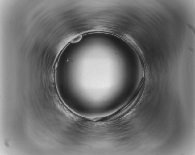 X0000100211292200805301318