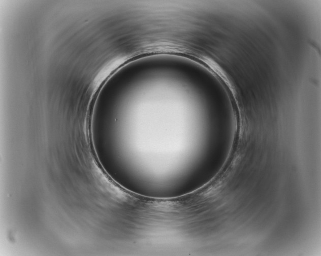 X0000100211293200805301318