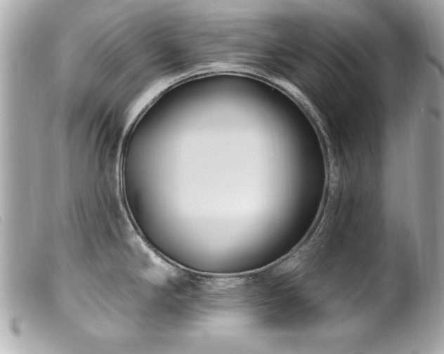 X0000100211294200805301318