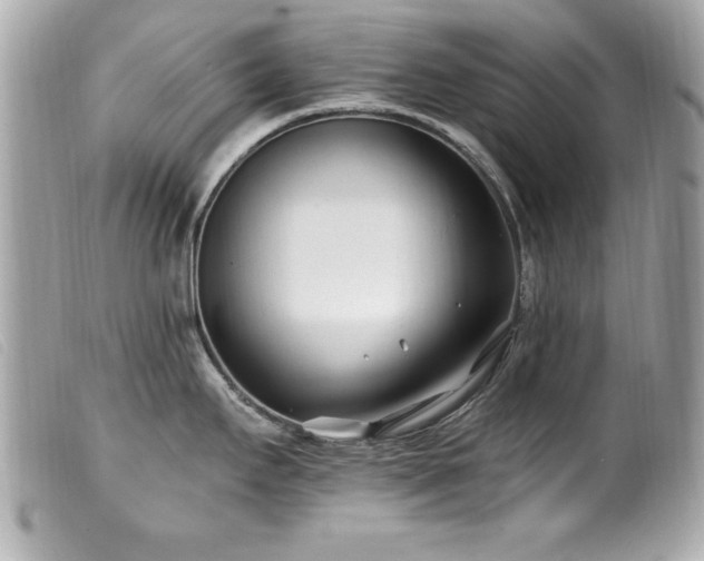 X0000100211295200805301318