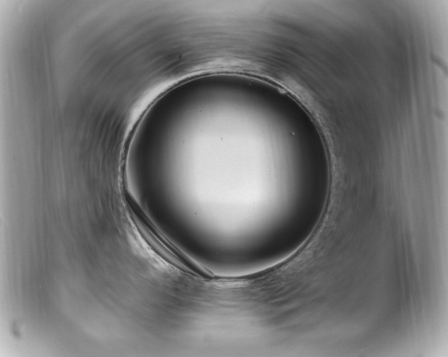 X0000100211296200805301318
