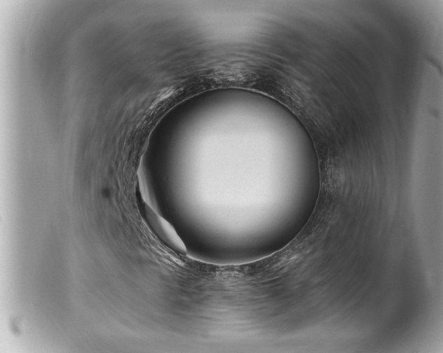 X0000100211297200805301317
