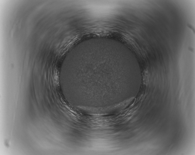 X0000100211298200805301317