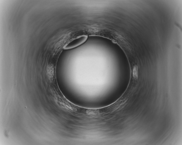 X0000100211299200805301317