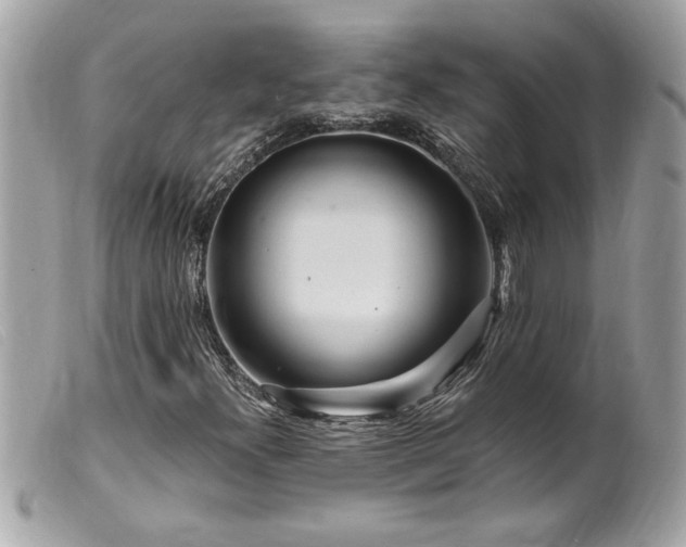 X0000100211300200805301317