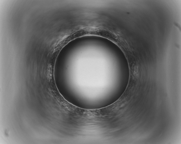 X0000100211301200805301317