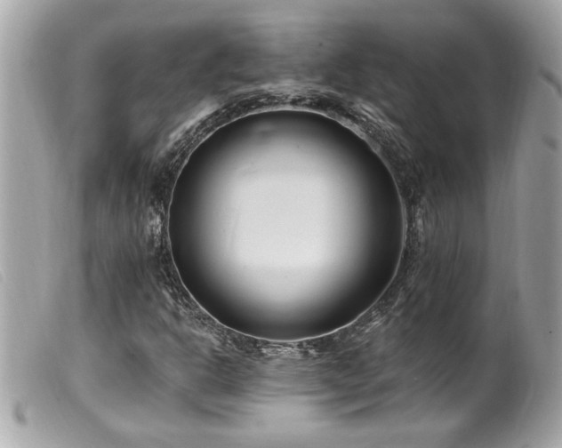 X0000100211302200805301317