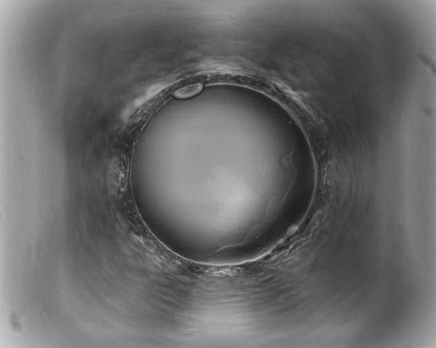 X0000100211303200805301317